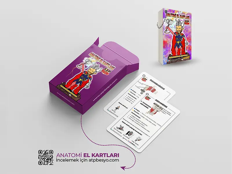 Ürün: ANATOMİ EL KARTLARI